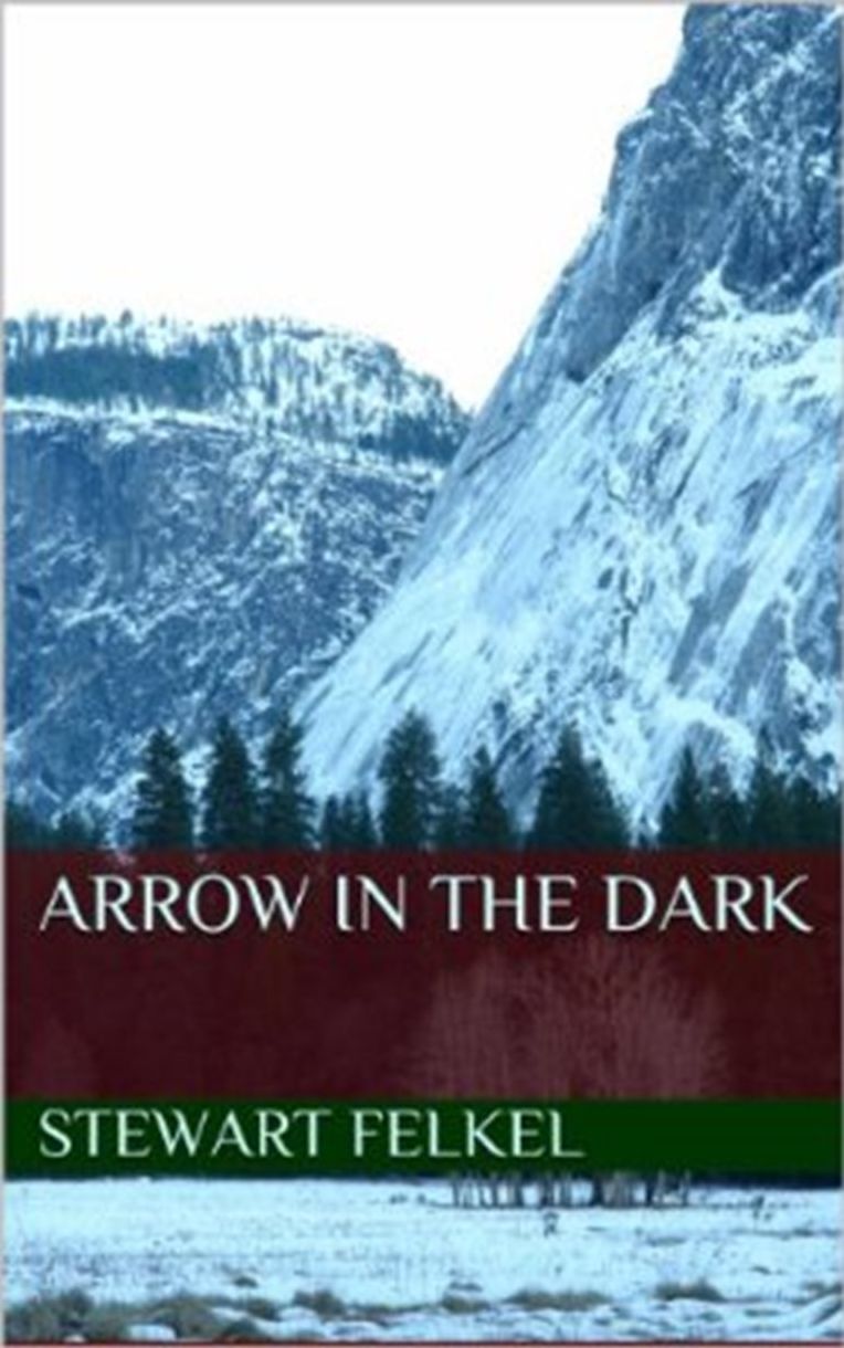 Arrow in the Dark