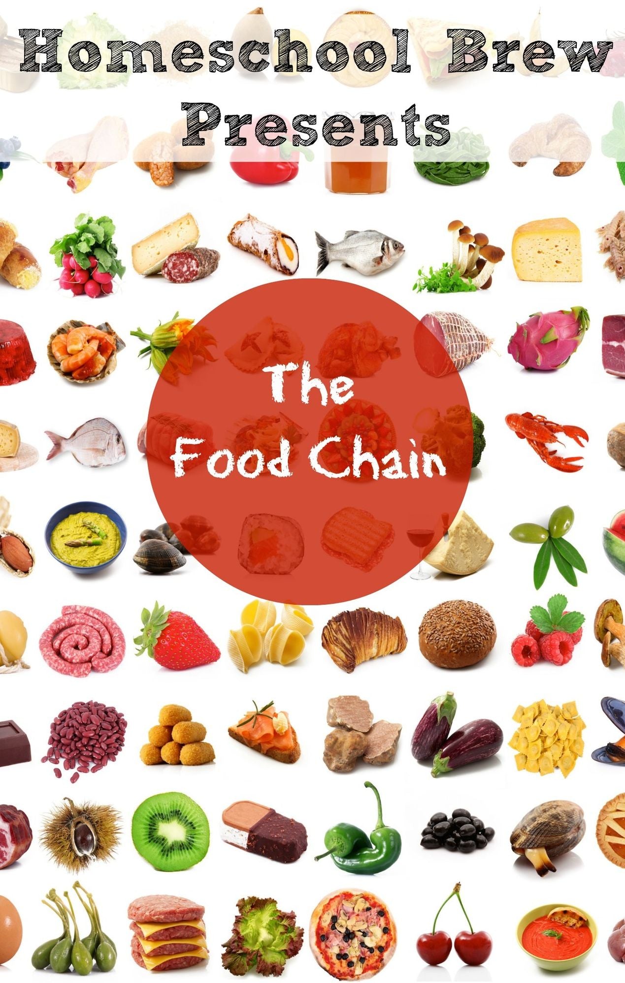 The Food Chain (Fourth Grade Science Experiments)
