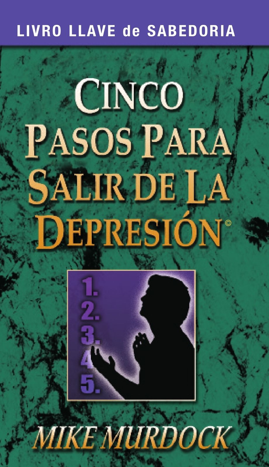 Cinco Pasos Para Salir de La Depresi&oacute;n
