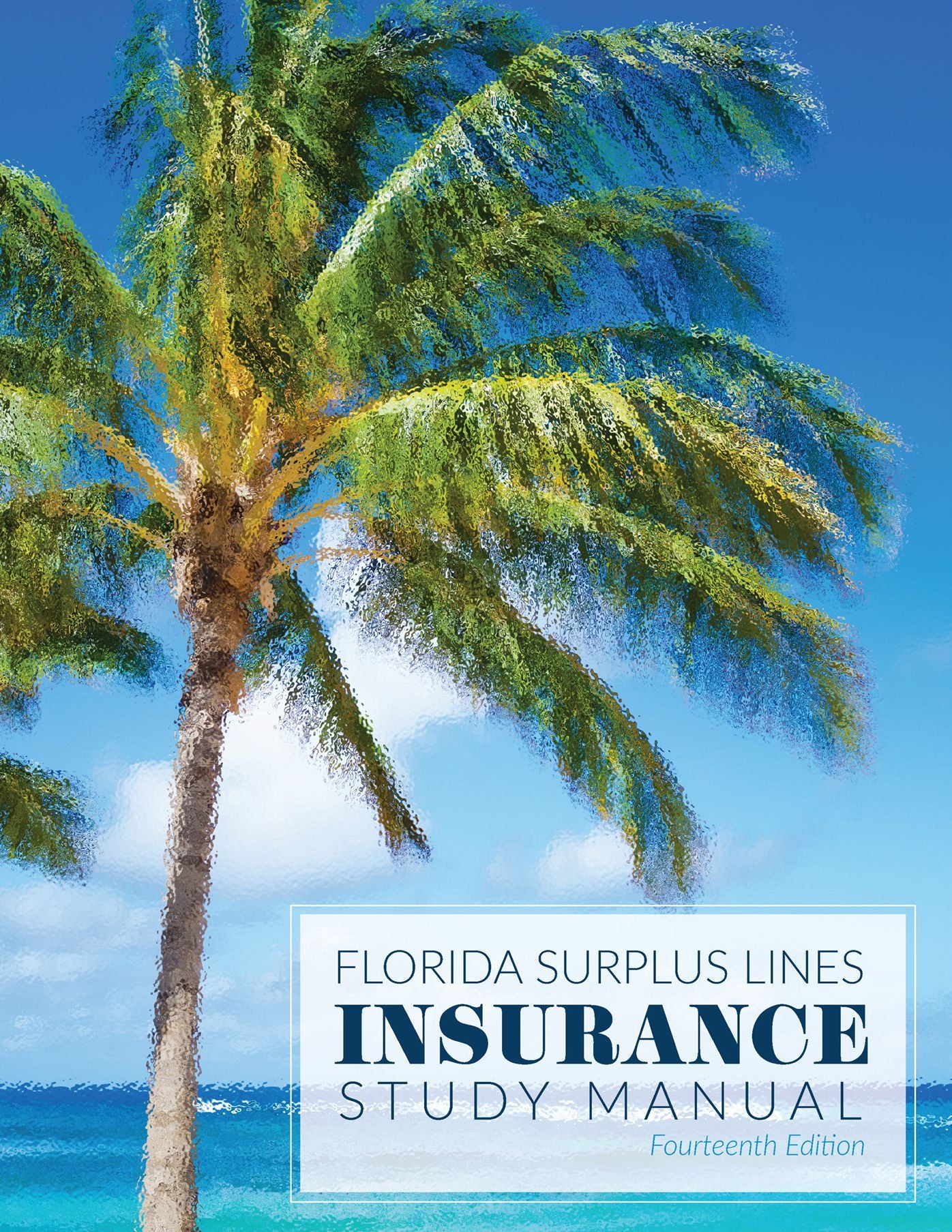 Florida Surplus Lines Insurance Study Manual - 13th Edition