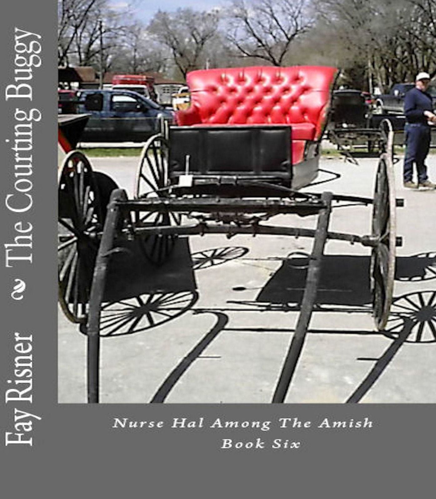 The Courting Buggy Nurse Hal Among The Amish