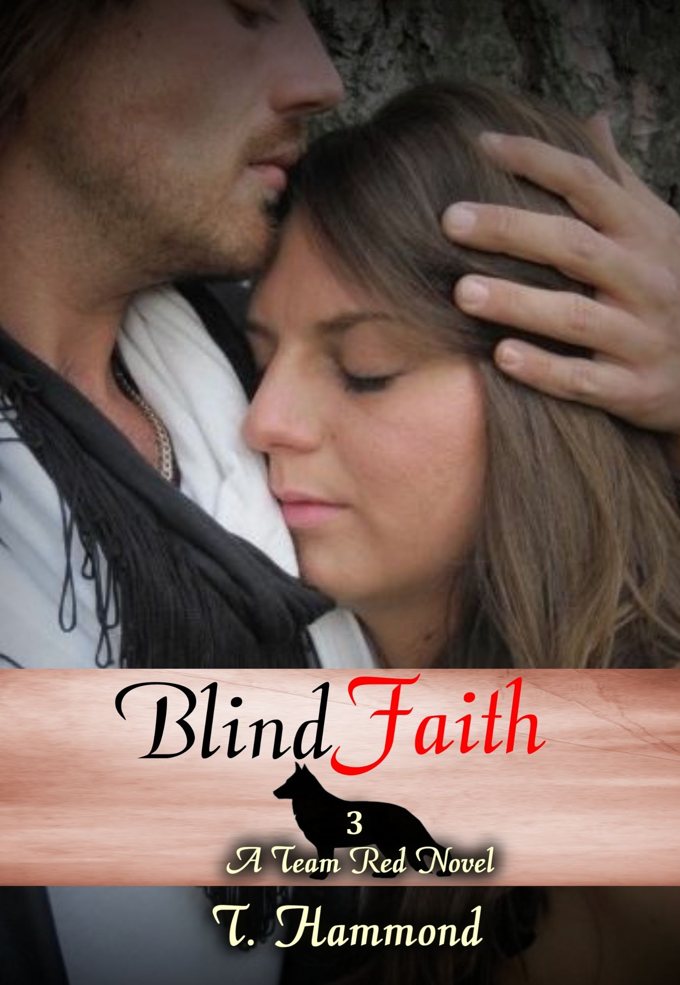 Blind Faith: Team Red, Book 3