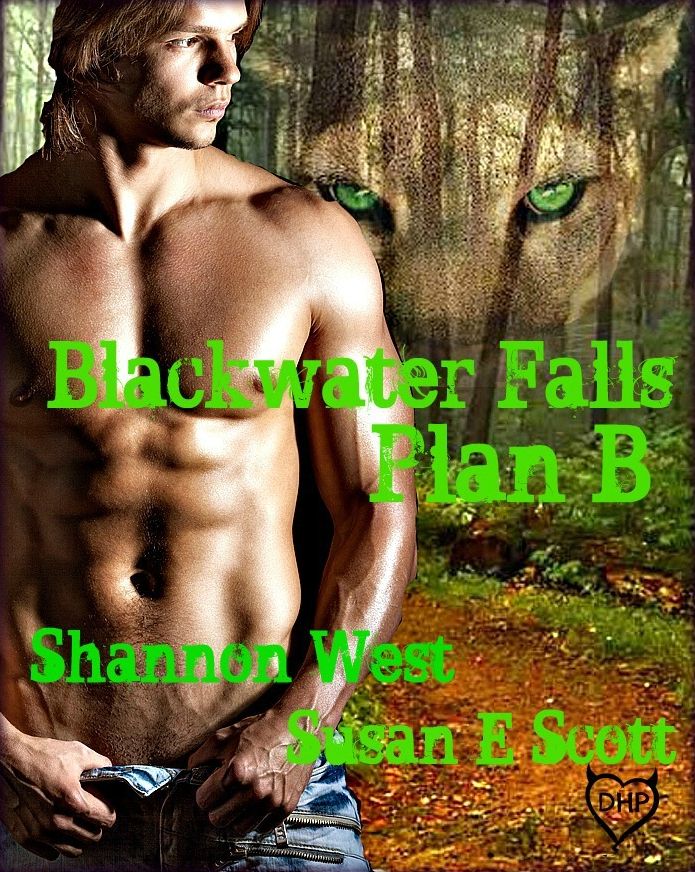 Blackwater Falls: Plan B