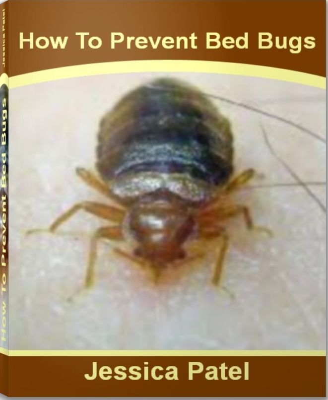 How To Prevent Bed Bugs: A Definitive Guide to Show You How to Prevent Bed Bugs Bites, How To Treat Bug Bites, Bed Bug Bites symptoms