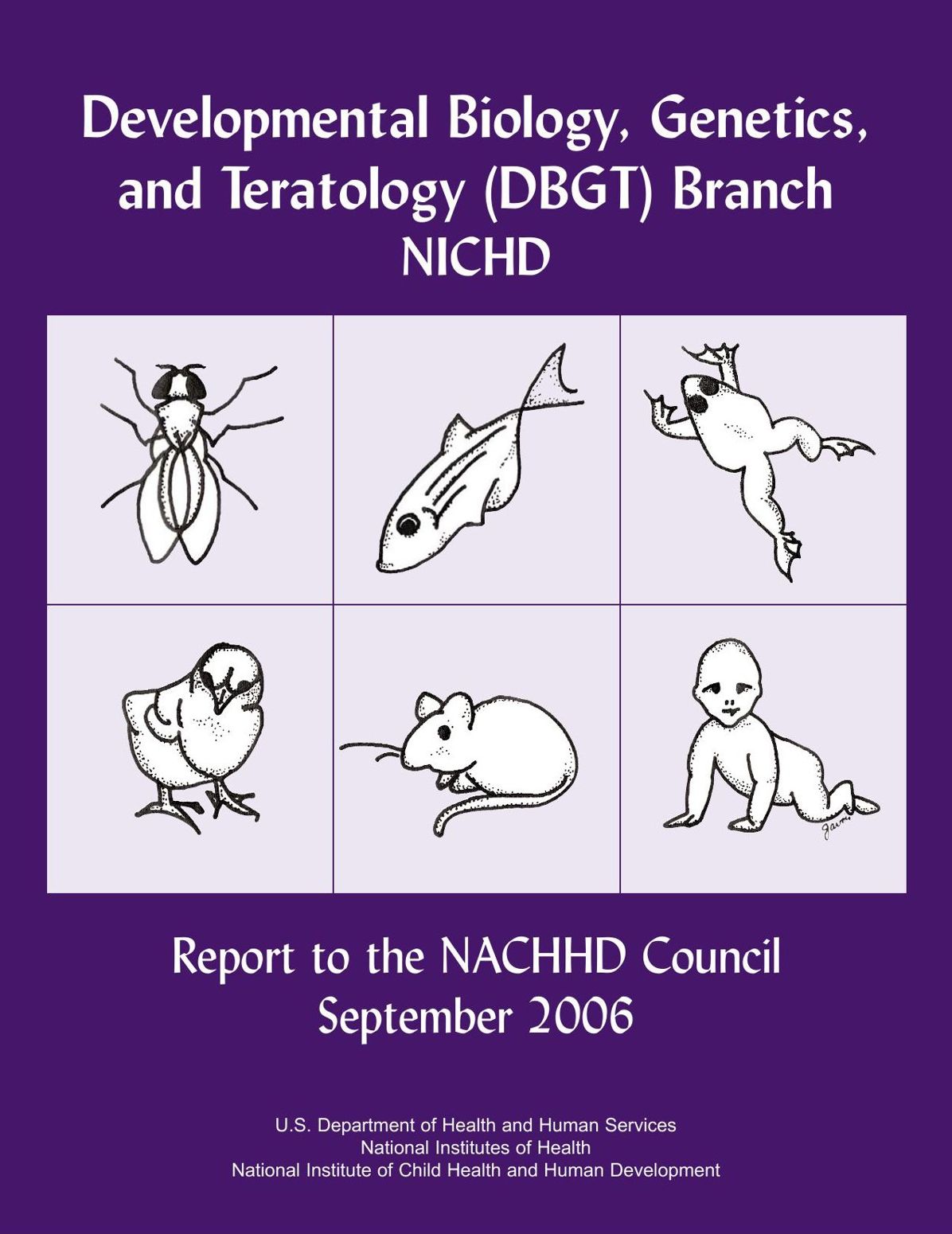 Developmental Biology, Genetics, and Teratology (DBGT) Branch NICHD