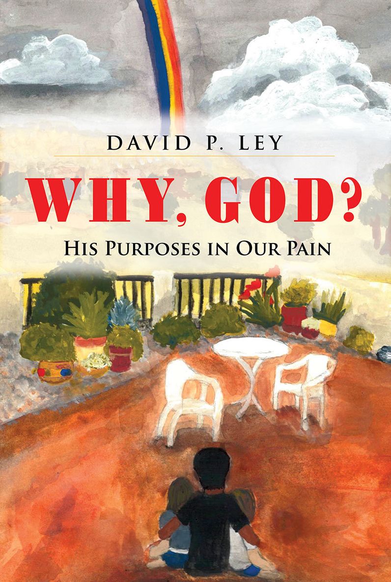 Why, God? His Purposes in Our Pain