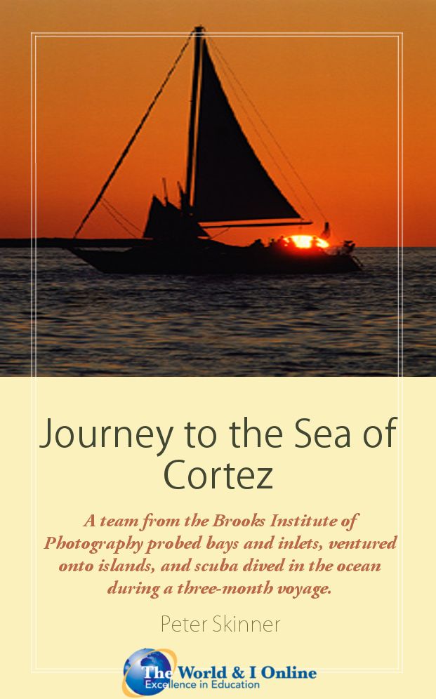 Journey to the Sea of Cortez