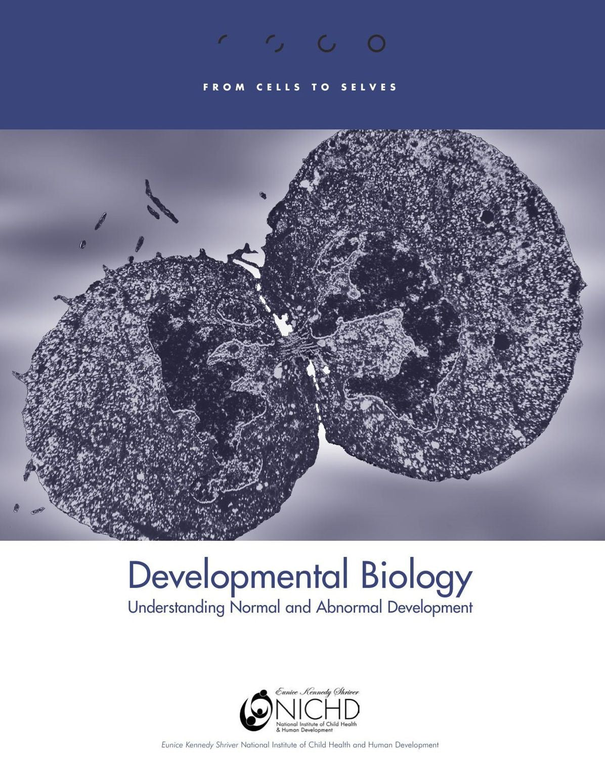 Developmental Biology: Understanding Normal and Abnormal Development