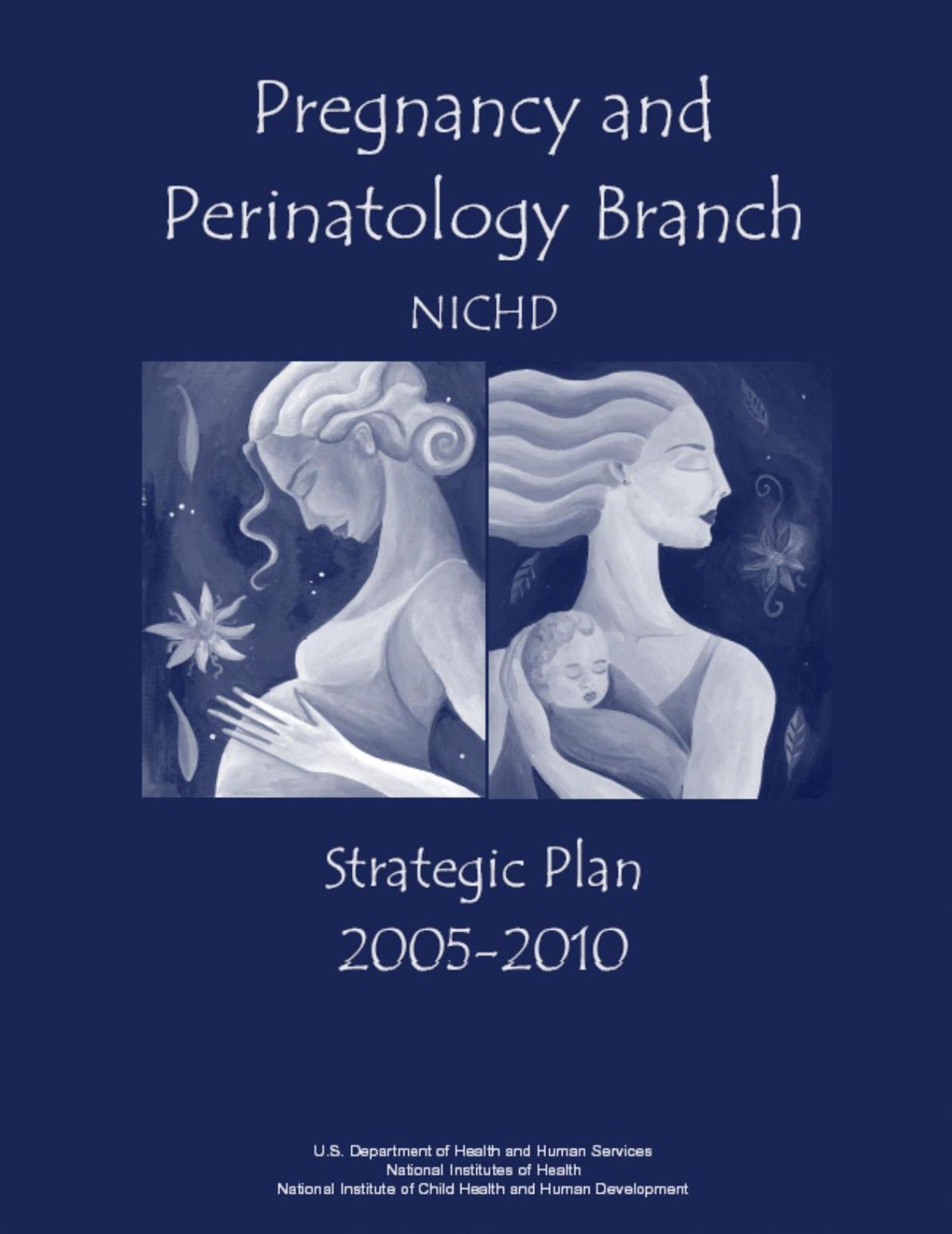 Pregnancy and Perinatology Branch (PPB) Strategic Plan