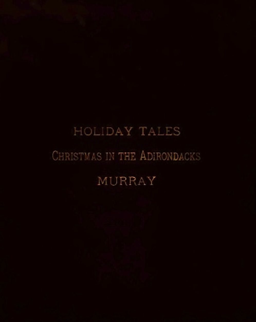 Holiday Tales: Christmas in the Adirondacks (Illustrated)