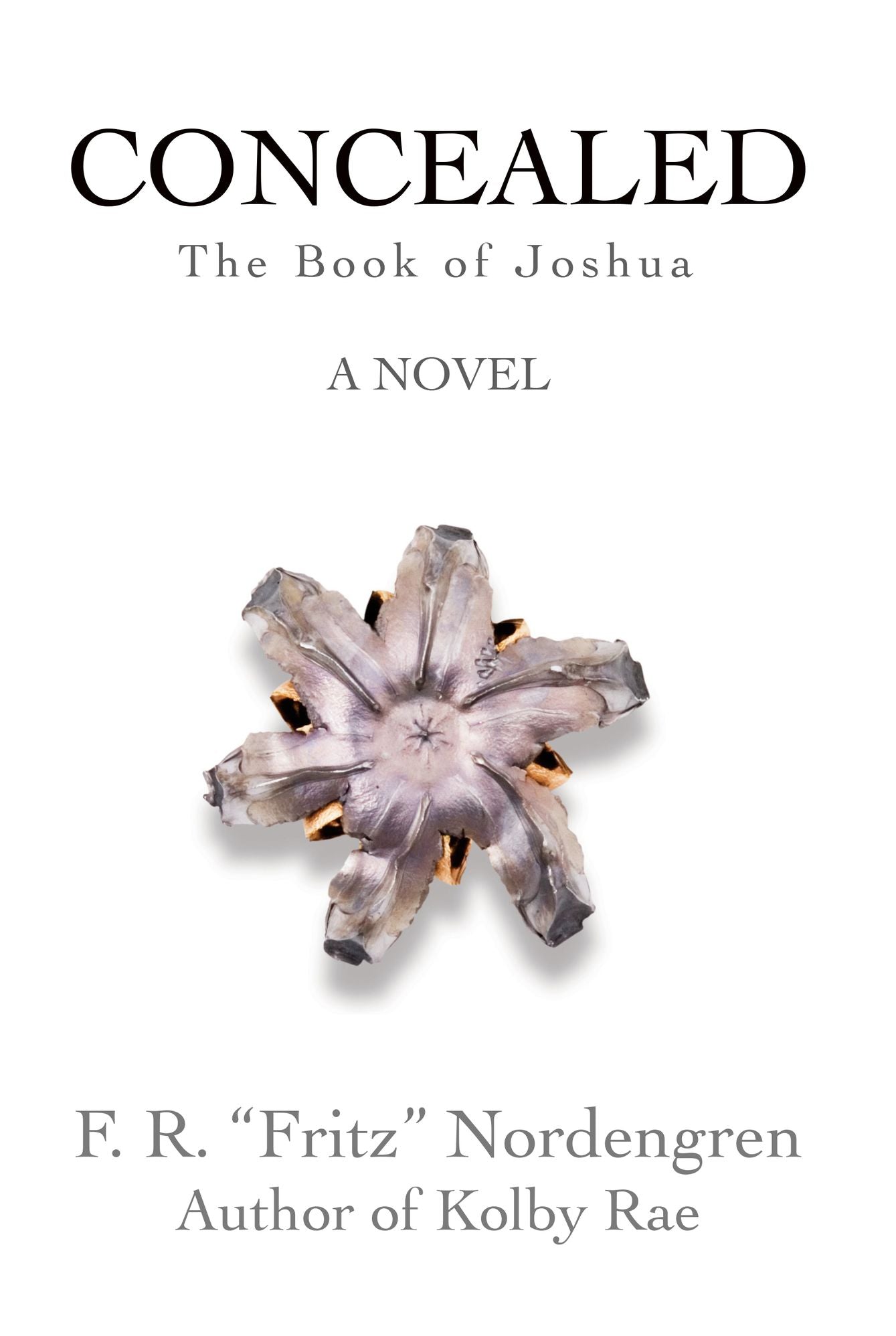 Concealed: The Book Of Joshua