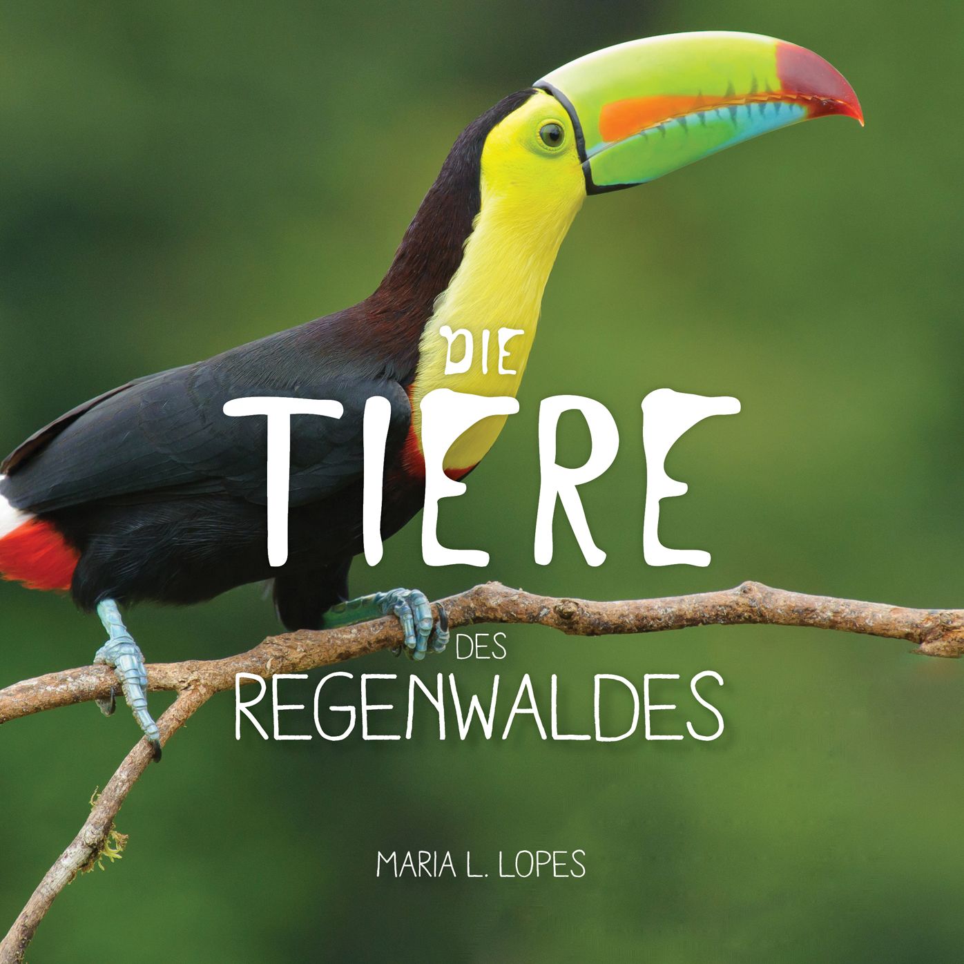 Die Tiere des Regenwaldes