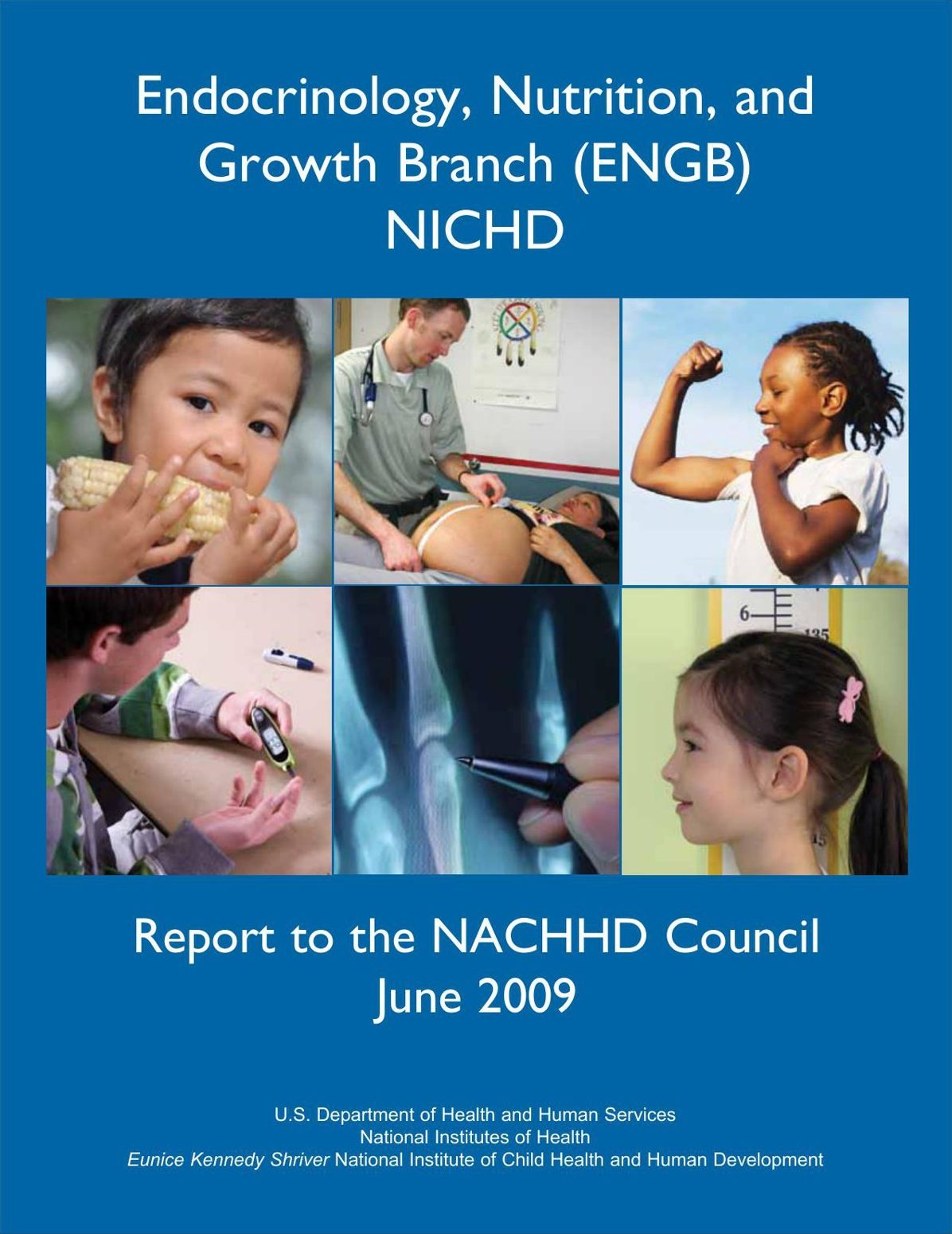 Endocrinology, Nutrition, and Growth Branch