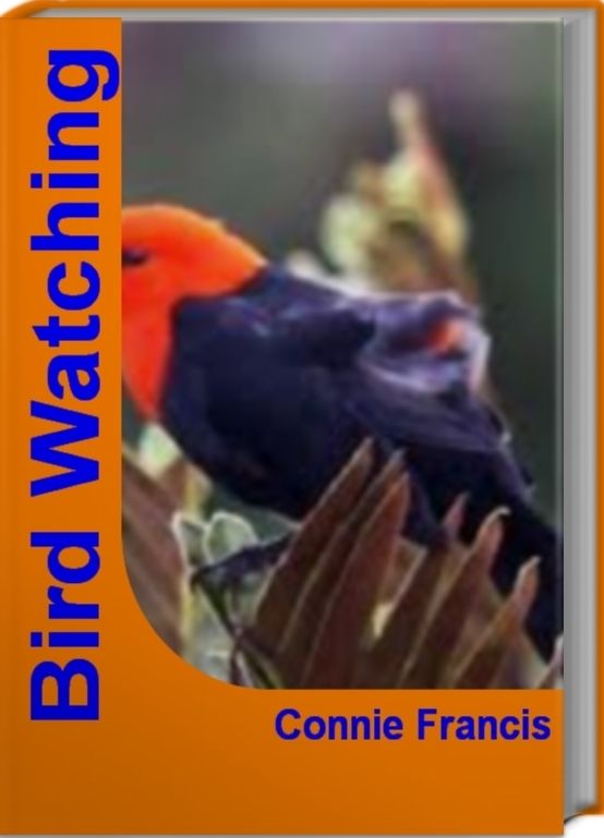 Bird Watching: The Official Guide To Bird Identification, Birding Binoculars, Backyard Birds and More