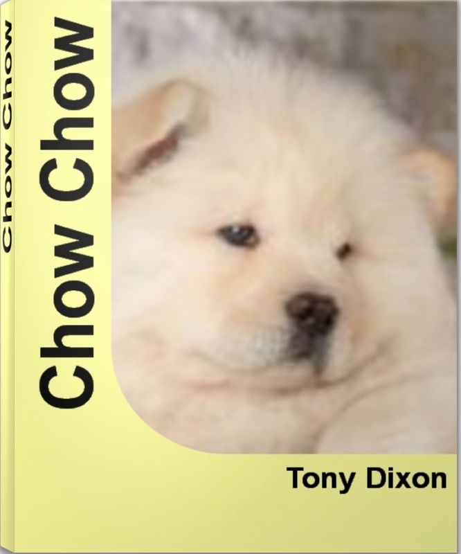 Chow Chow: The Official Guide To Chow Chow Relish, Chow Chow Puppies, Chow Chow Breeders and Much More