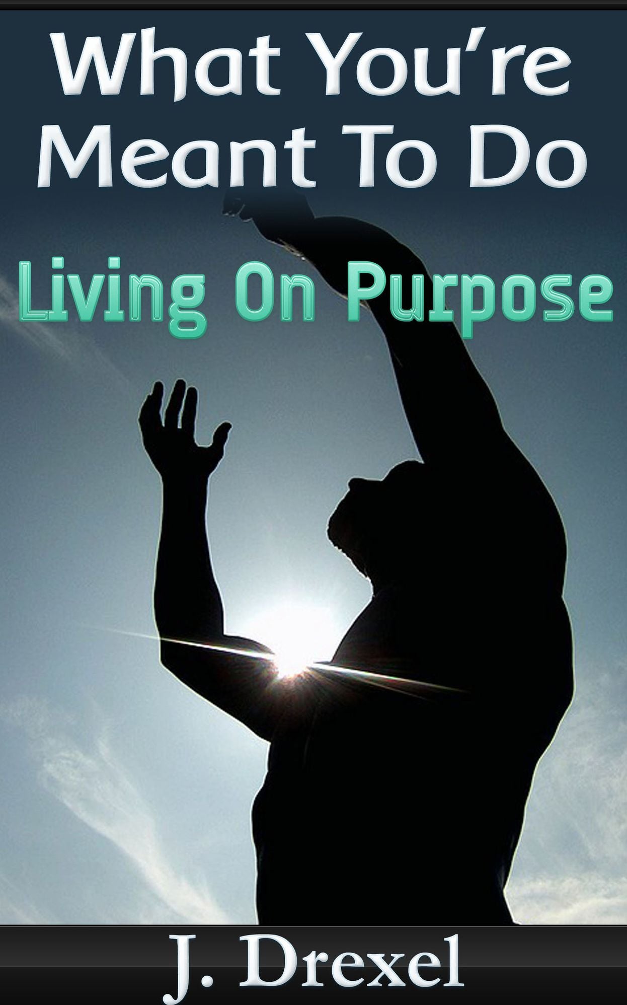 What You're Meant To Do, Living On Purpose