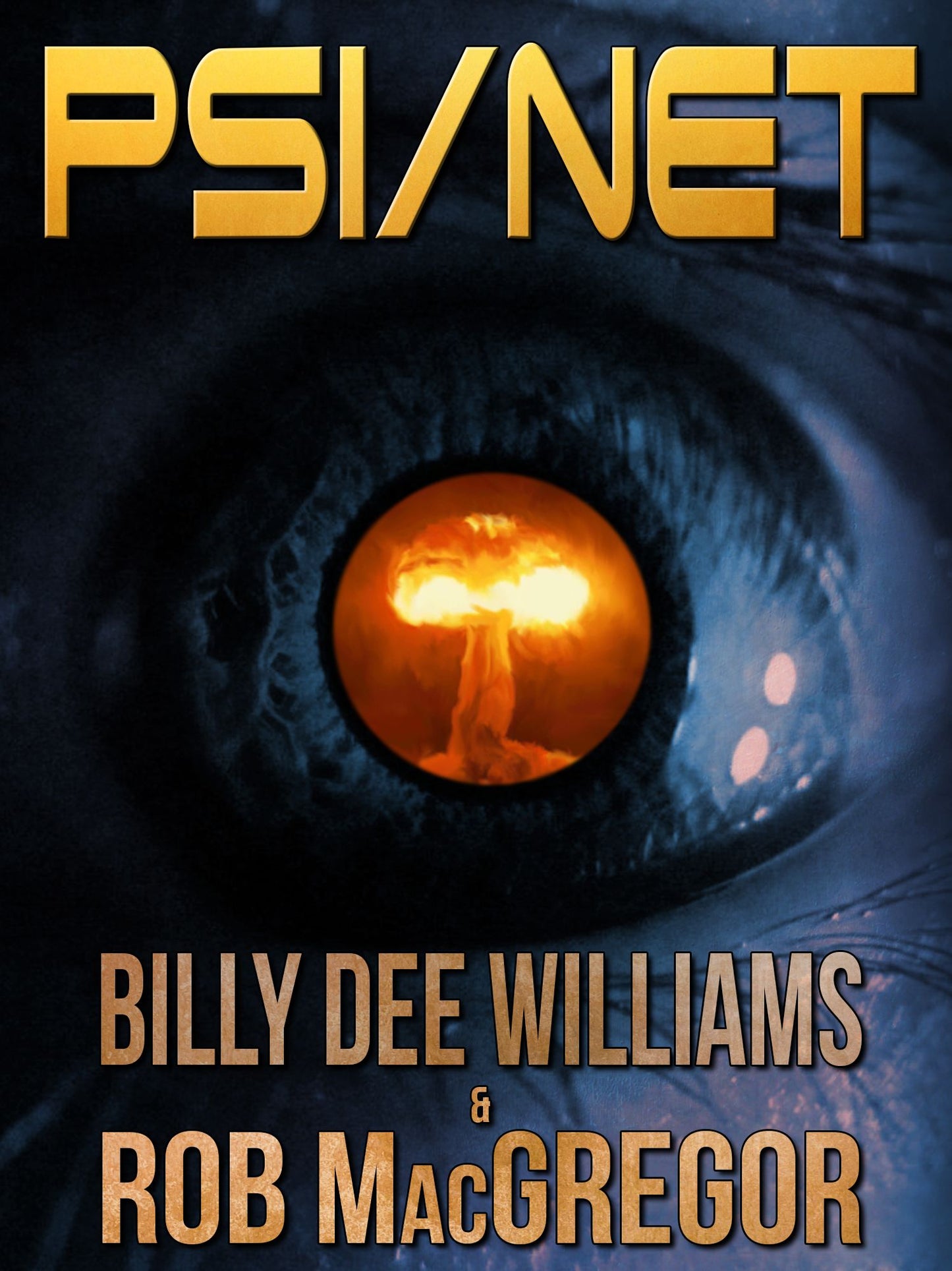 PSI/Net