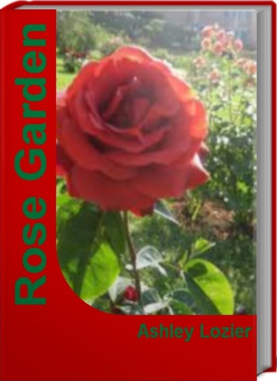 Rose Garden: What You Must Know About Portland Rose Garden, Rose Garden Seating and Much More
