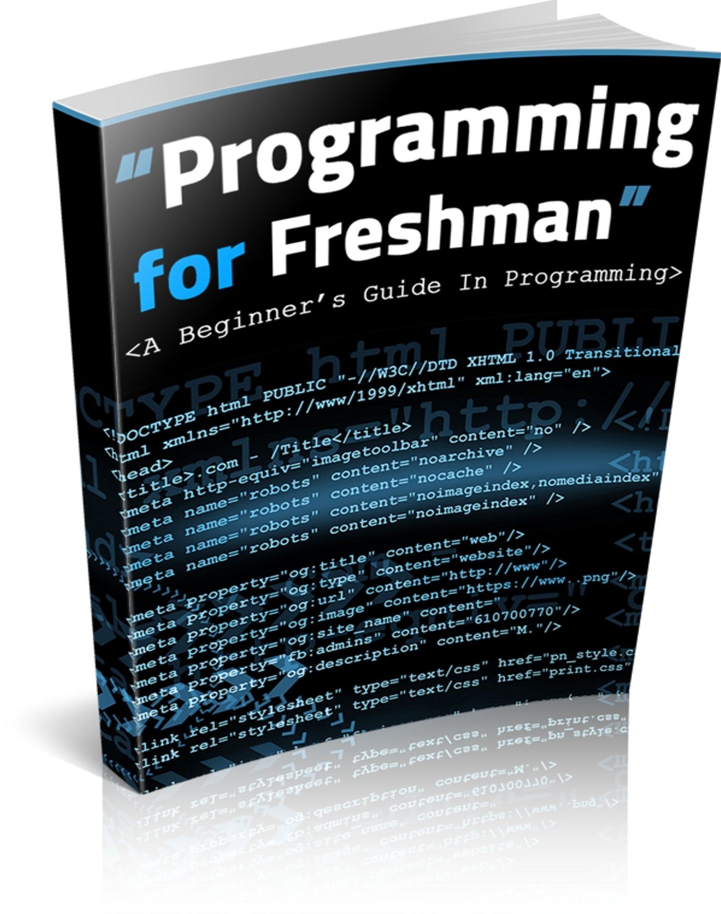 Programmng For A Freshman: A Beginners Guide To Programming! AAA+++