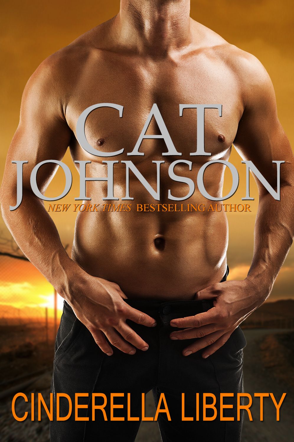 Cinderella Liberty - a hot men in uniform military romance