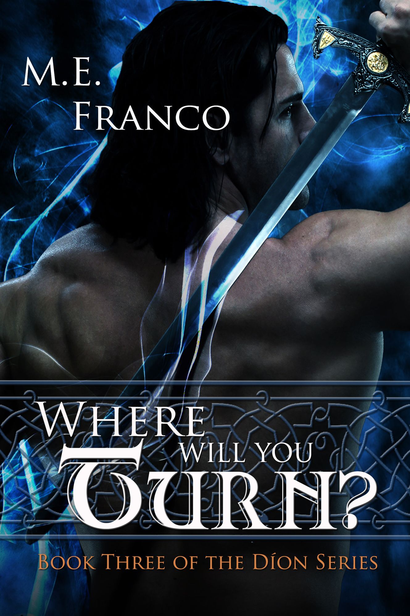 Where Will You Turn? Book Three of the Dion Series