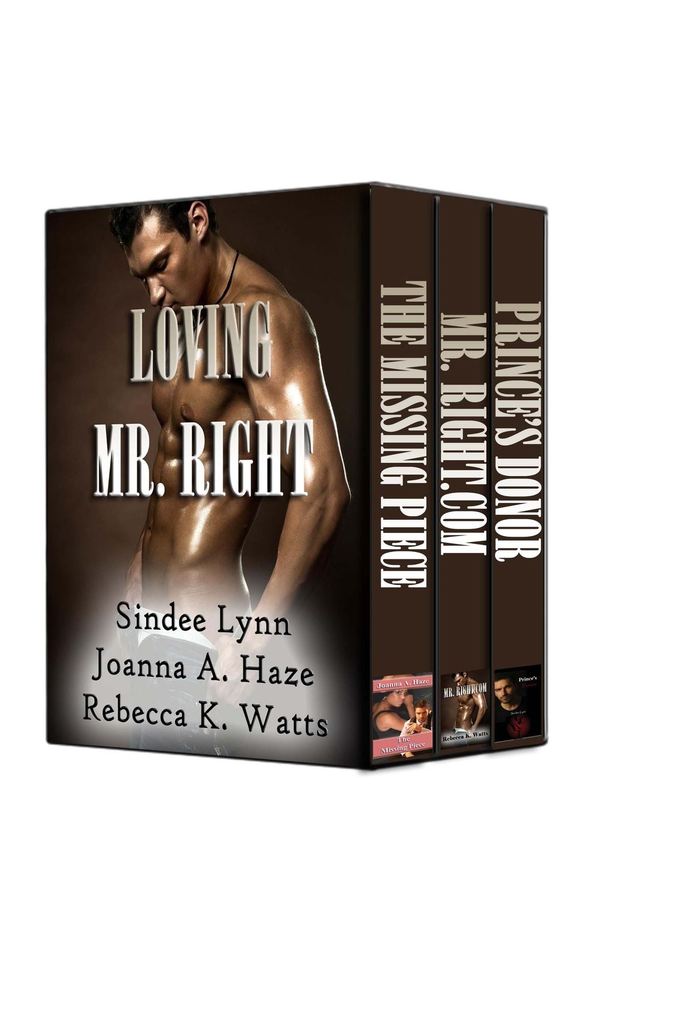 PWP Box Set: Loving Mr. Right