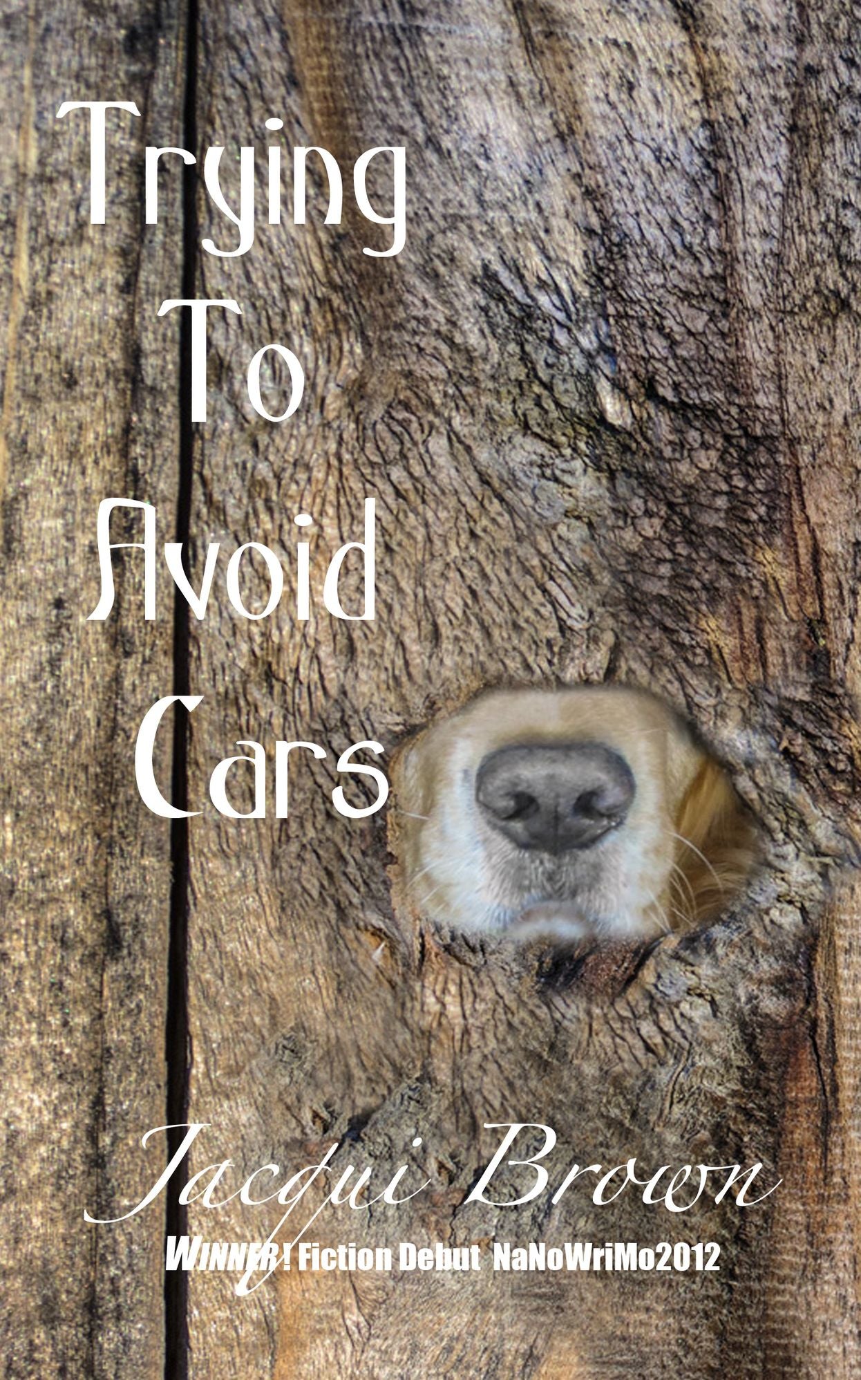 Trying To Avoid Cars