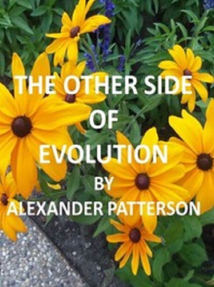 The Other Side of Evolution