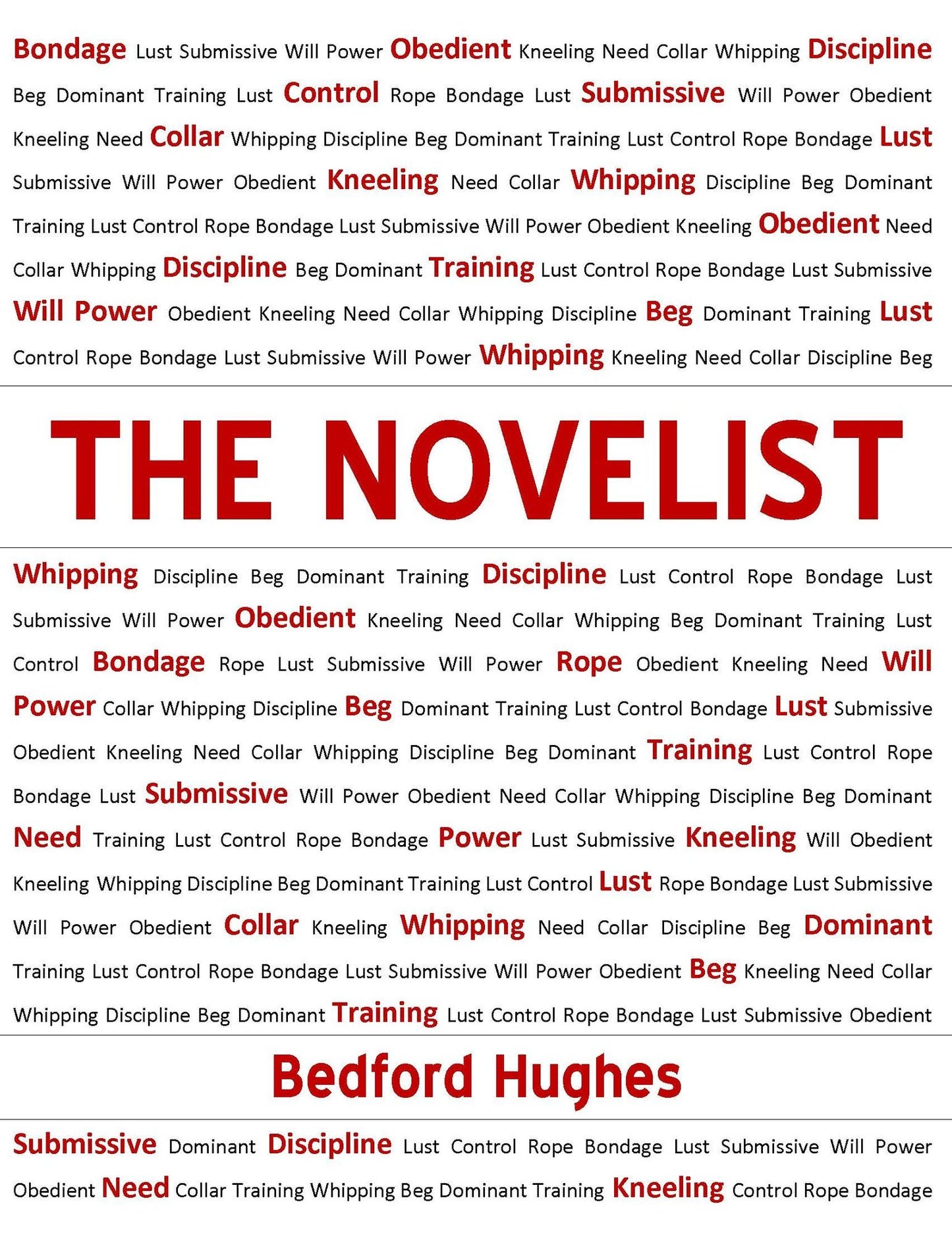 The Novelist