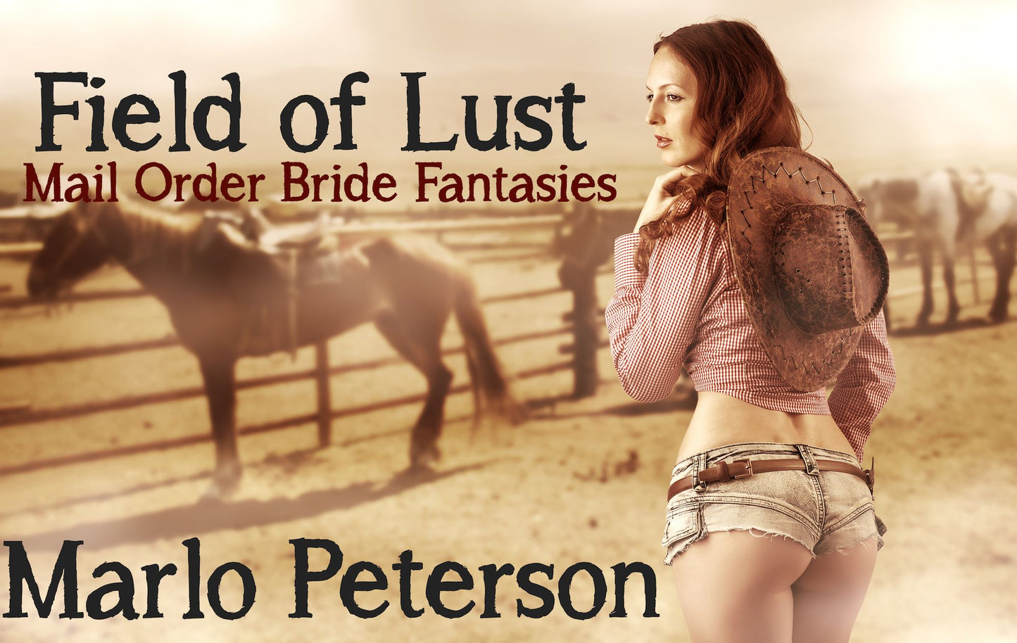 Field of Lust: Mail Order Bride Fantasies (Western Erotic Romance)