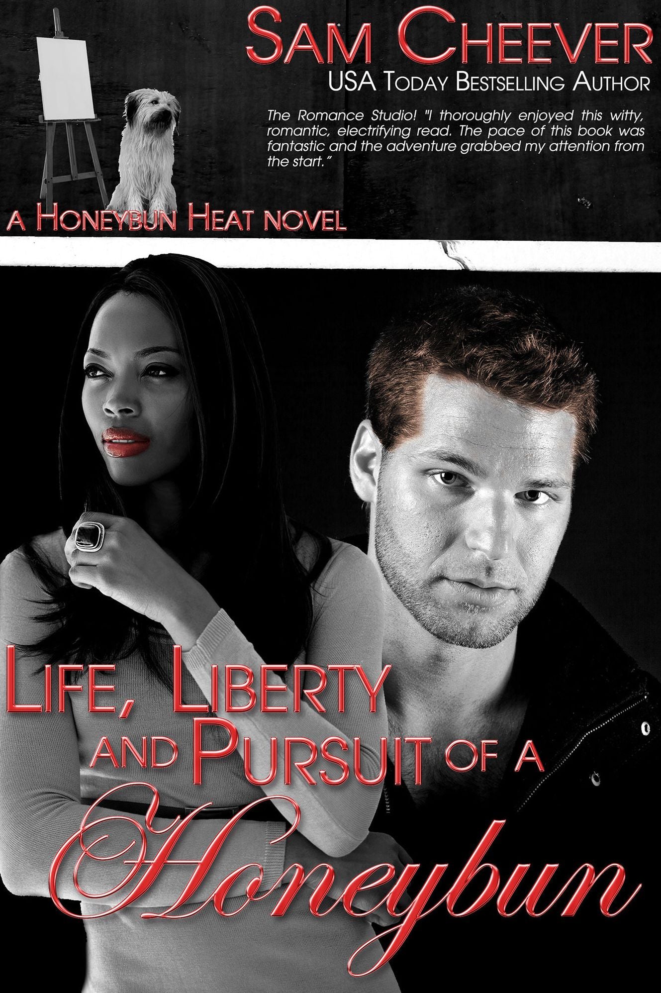 Life, Liberty and Pursuit of a Honeybun [Mystery and Romantic Suspense]