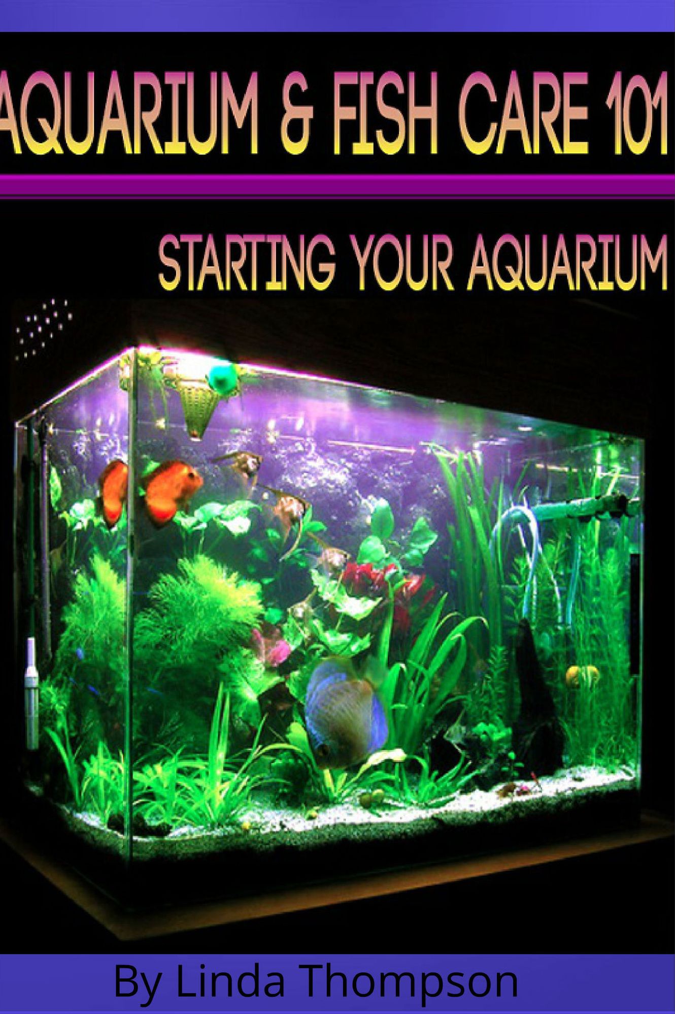 Aquarium & Fish Care 101