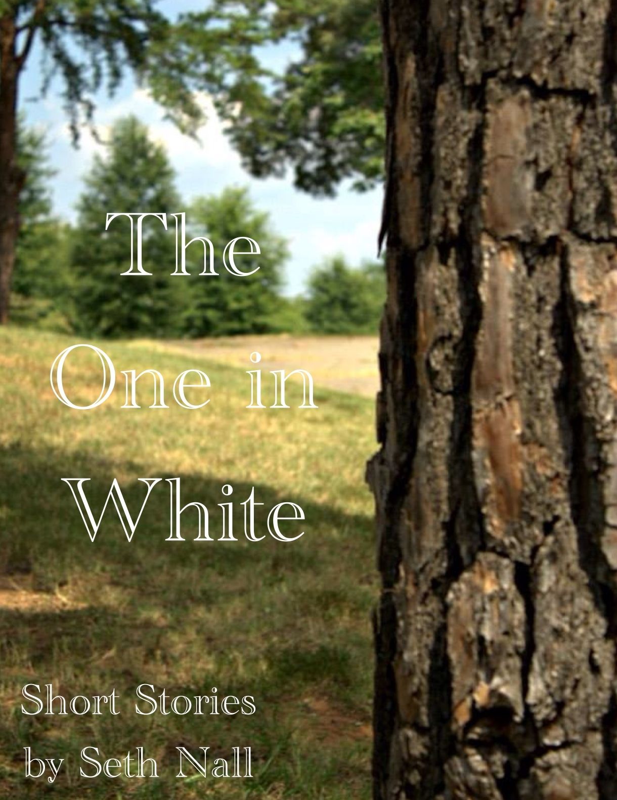 The One In White