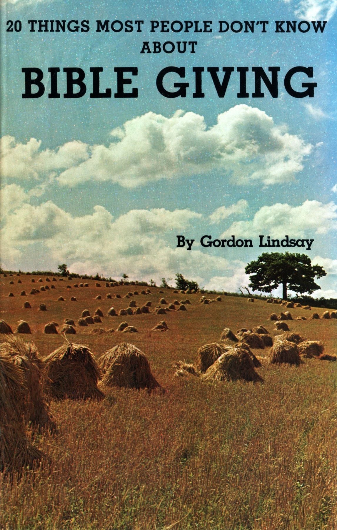 20 Things Most People Don't Know About Bible Giving