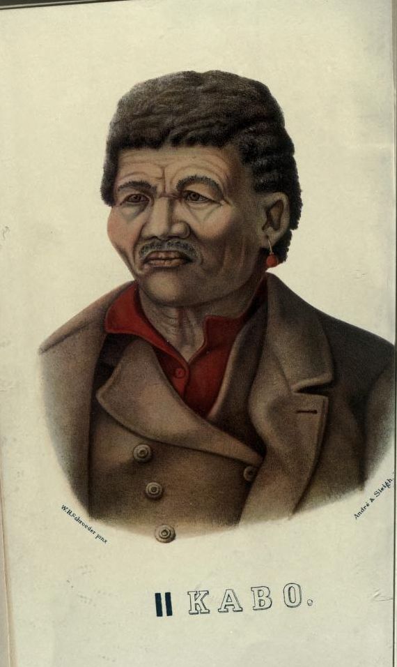 Specimens of Bushman folklore