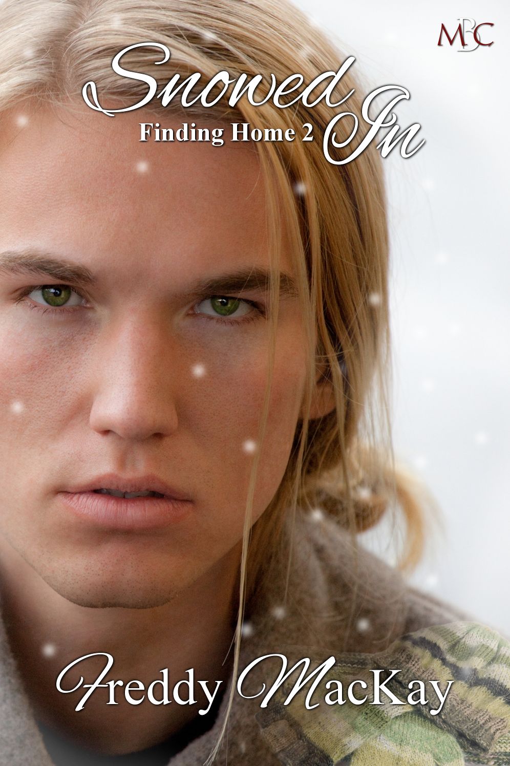 Snowed In: Finding Home 2