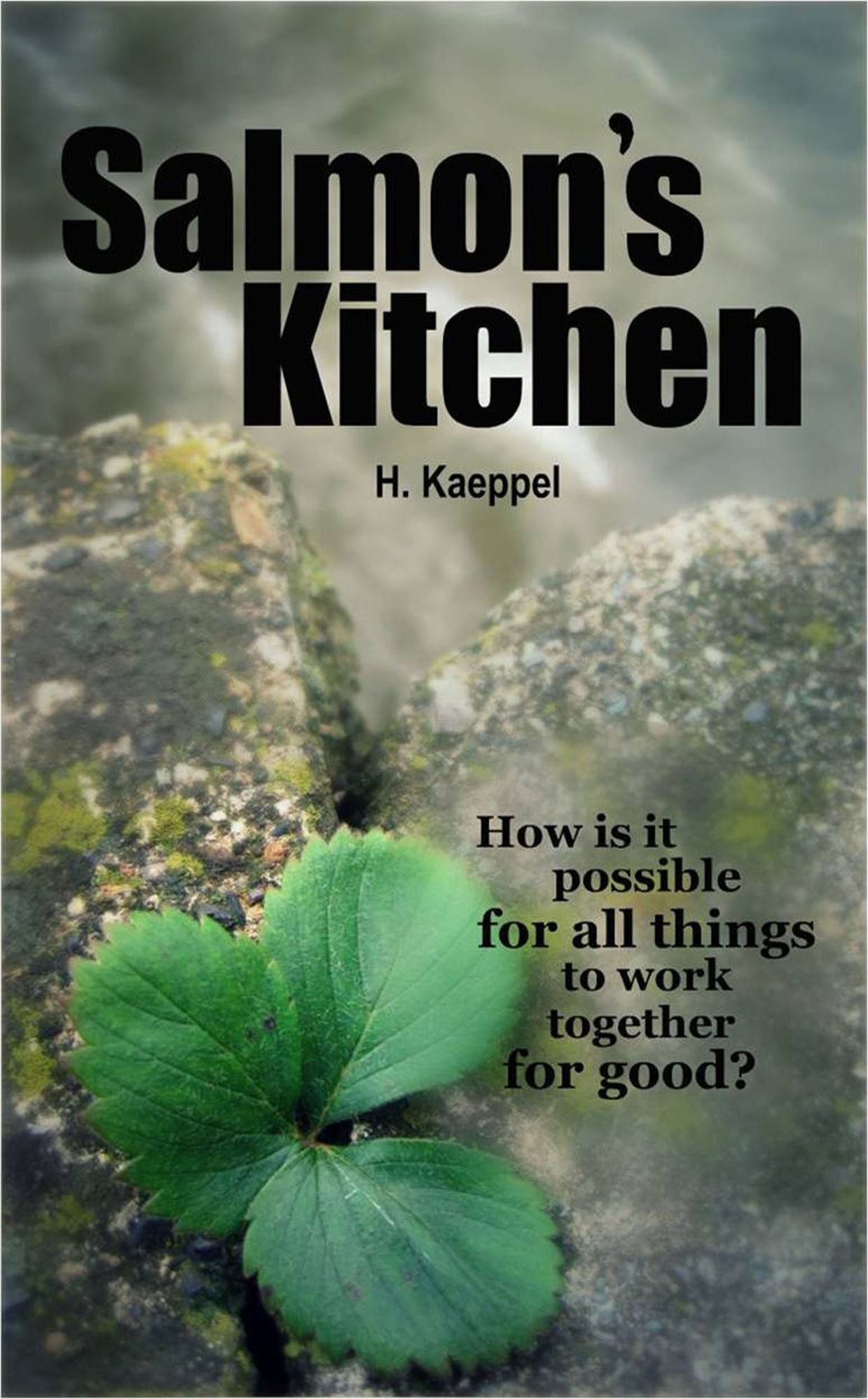 Salmon's Kitchen