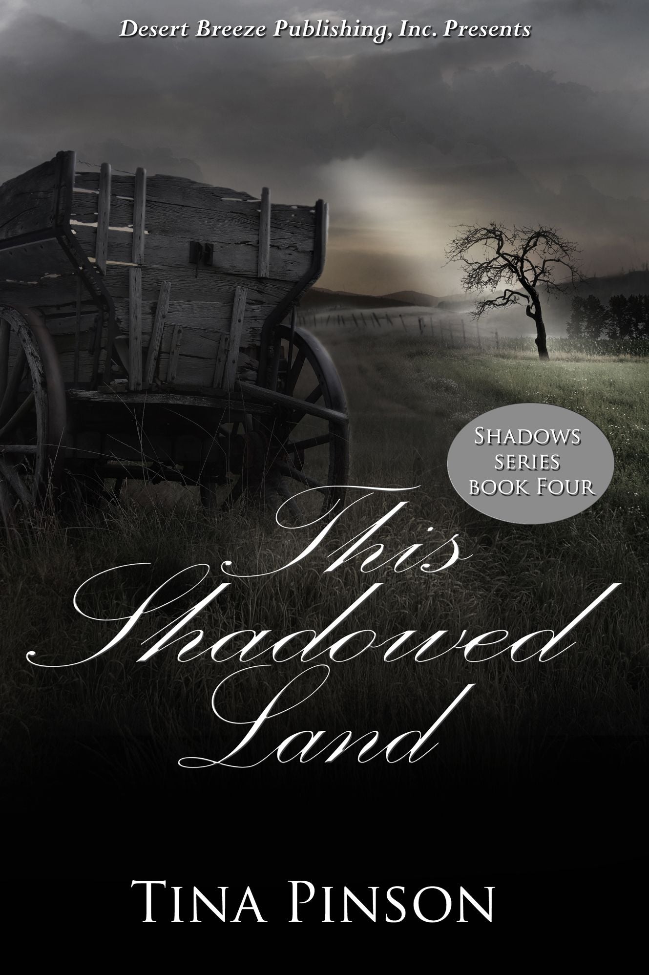 This Shadowed Land