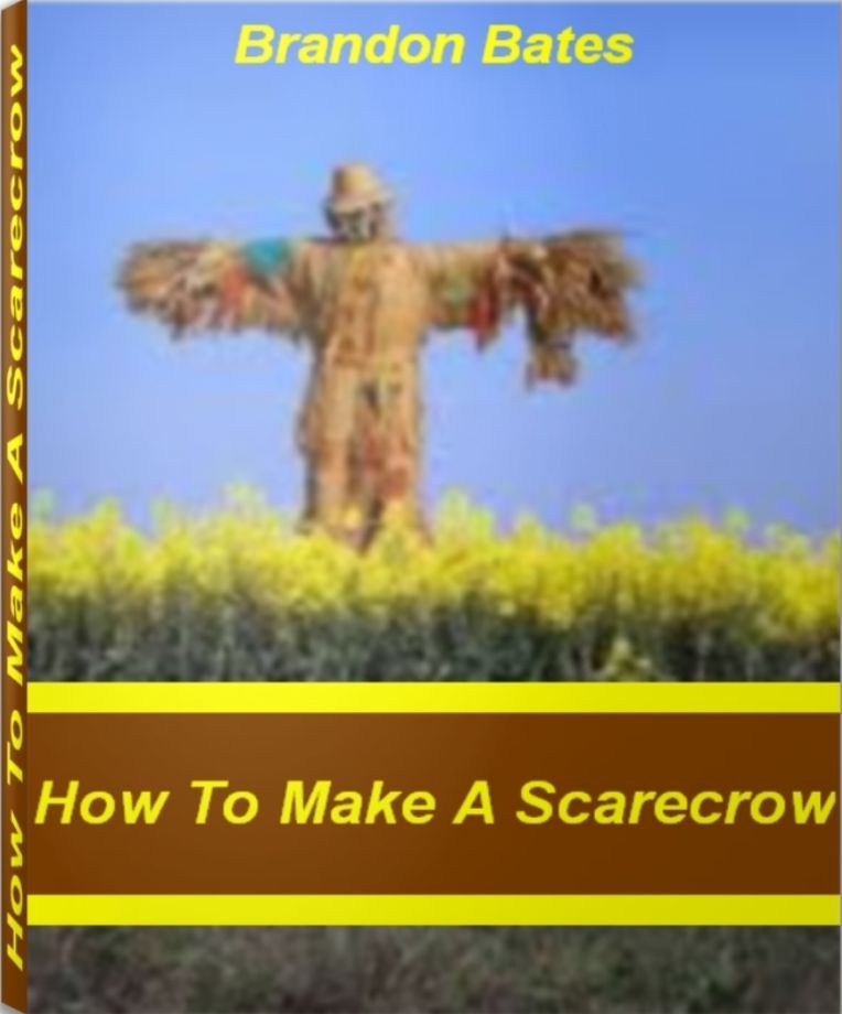 How To Make A Scarecrow: An Instant Reference To How To Make A Scarecrow Hat, Making A Scarecrow And Scarecrow Ideas