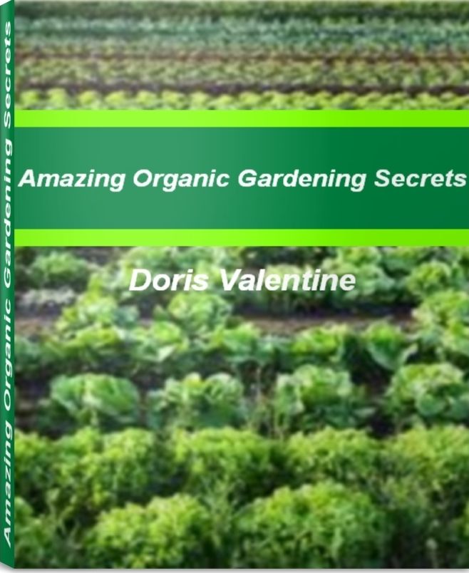 Amazing Organic Gardening Secrets: An Exhaustive Look At Organic Gardening Supplies, Organic Vegetable Gardening, Organic Garden Fertilizer, Organic Gardening Tips