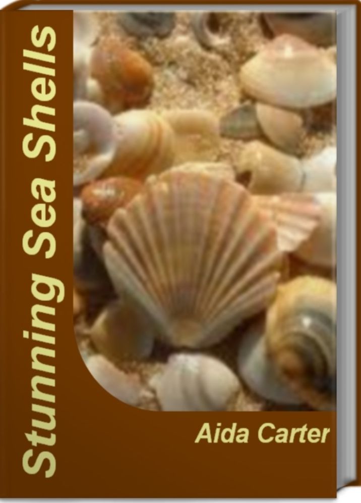 Stunning Sea Shells: The Insider's Guide to Sea Shells, Sea Shell Crafts and Shell Craft Ideas