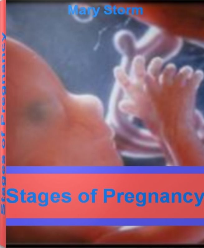 Stages of Pregnancy: The Official Guide To Pregnancy Signs, Pregnancy Symptoms, Healthy Pregnancy and More