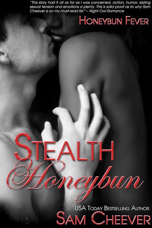 Stealth Honeybun [BWWM Romantic Suspense and Mystery]