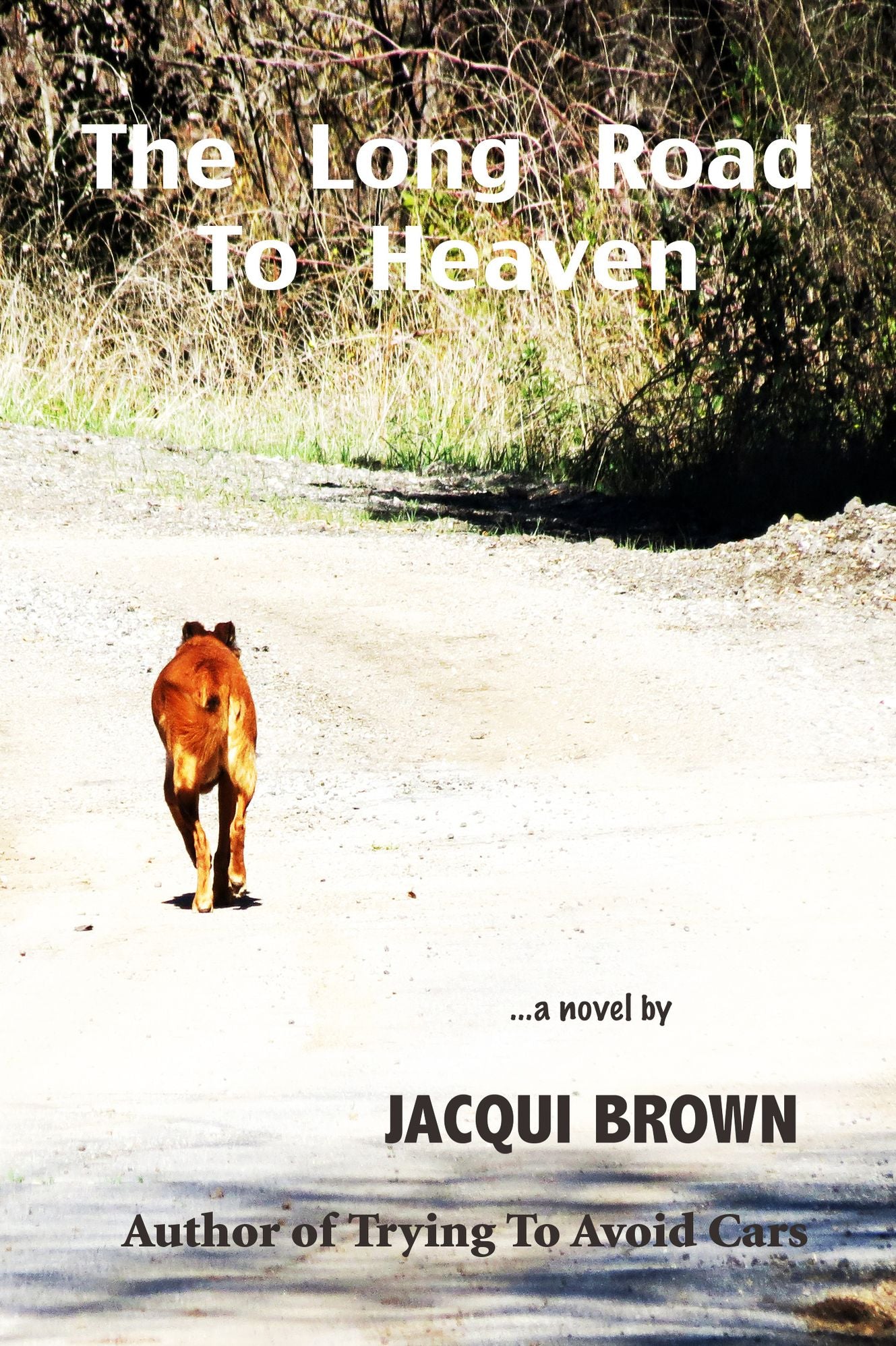 The Long Road To Heaven
