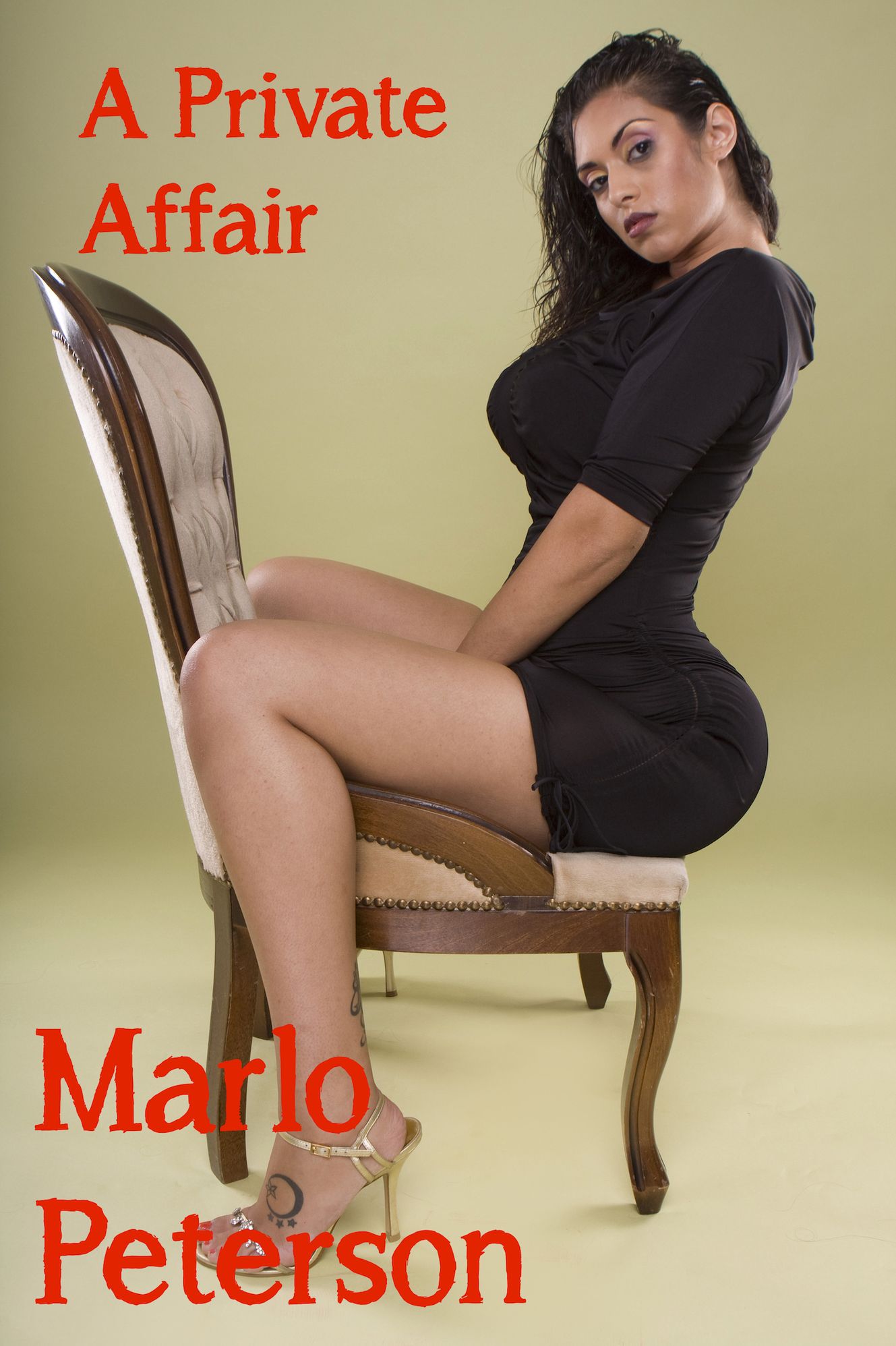 A Private Affair (BW/WM Billionaire Erotic Romance)