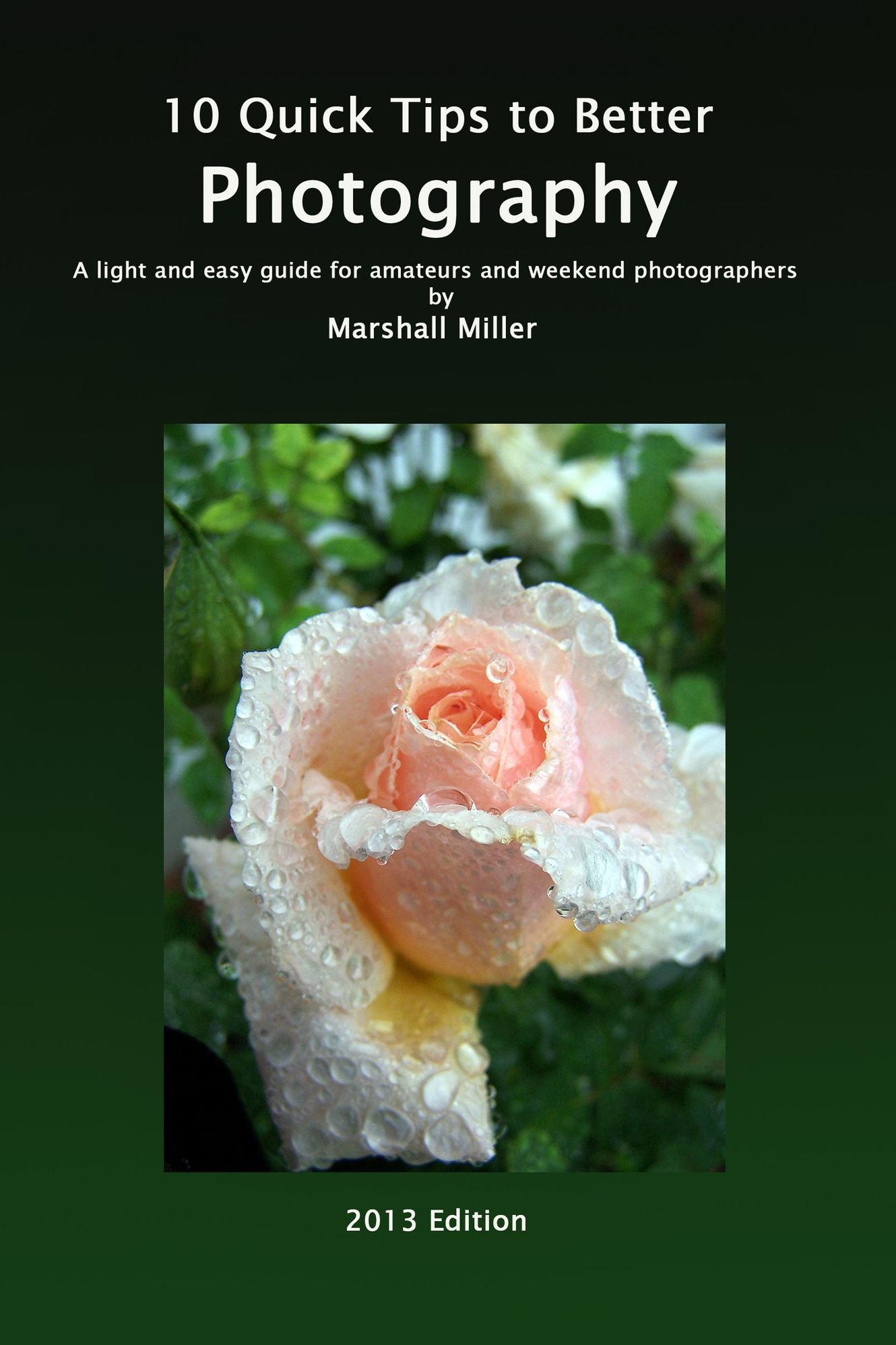 10 Quick Tips to Better Photography