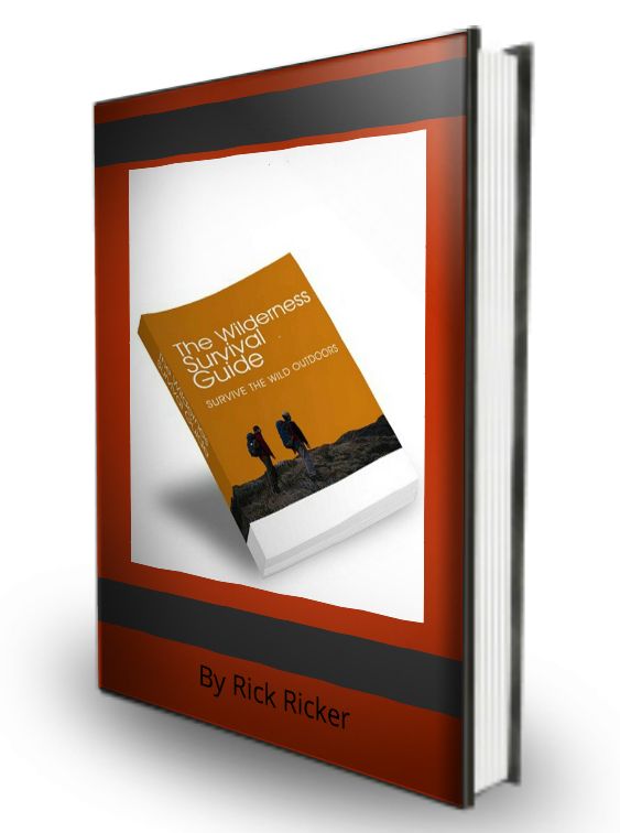 The Wilderness Survival Guide