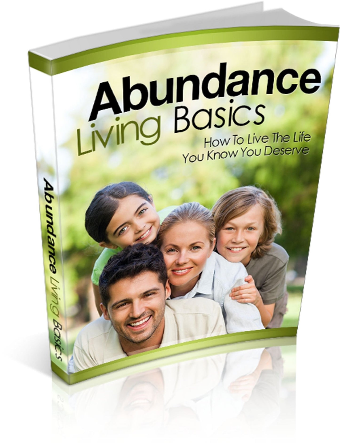 Abundance Living Basics: How To Live The Life You Know You Deserve! (Brand New) AAA+++
