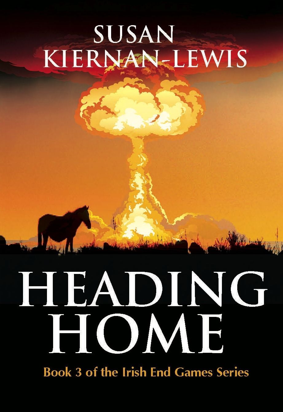 Heading Home, Book 3 of the Irish End Games