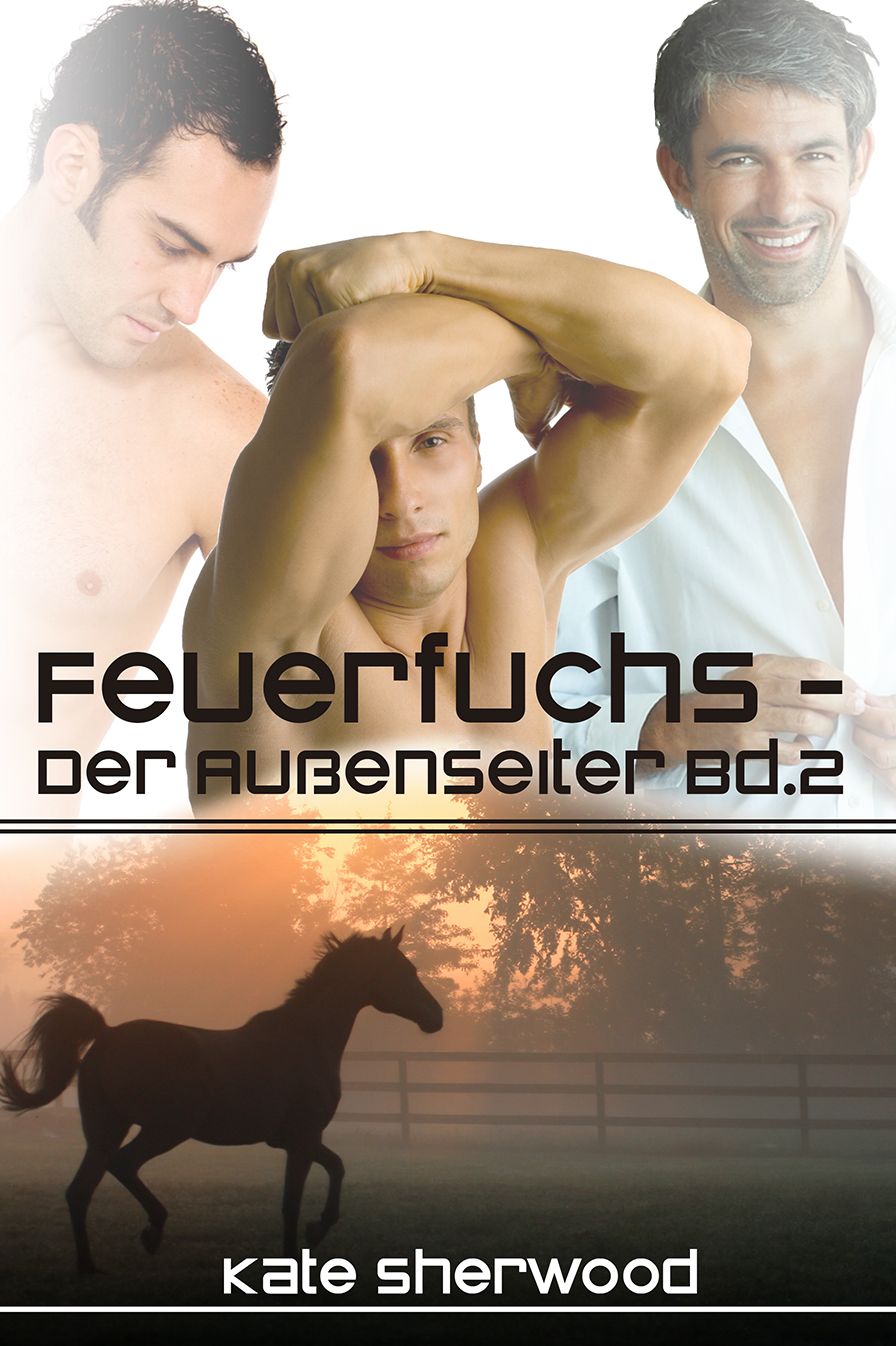 Feuerfuchs - Der Au&szlig;enseiter Bd. 2